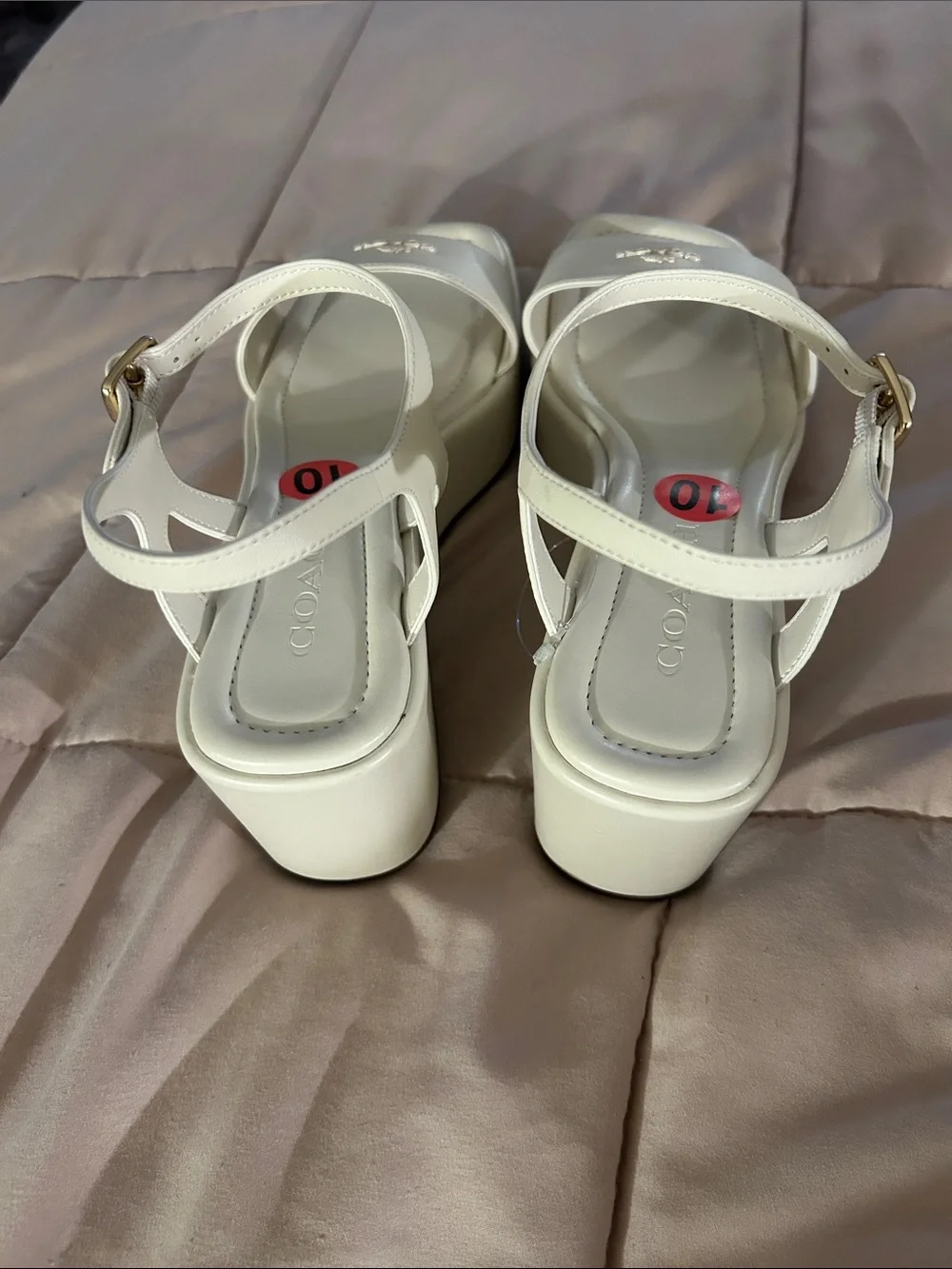 NWOT Women’s Coach Gale Wedge Sandal | Chalk Leather
